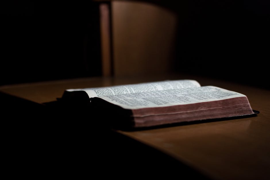 Open Bible